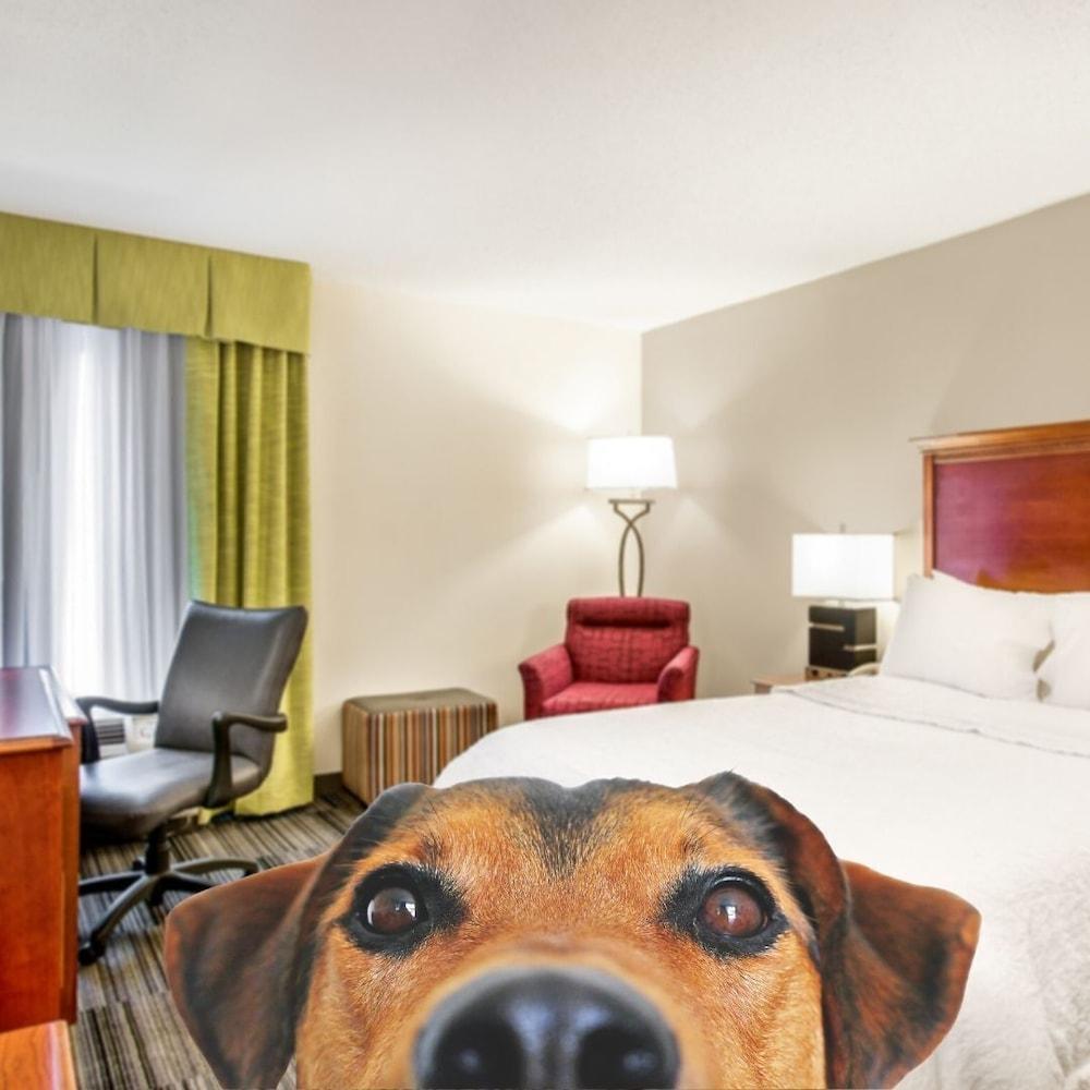 Hotel Hampton Bowling Ky